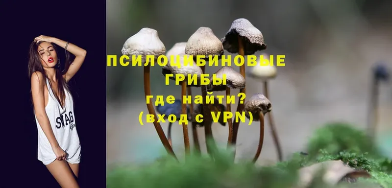 Псилоцибиновые грибы MAGIC MUSHROOMS  Электроугли 